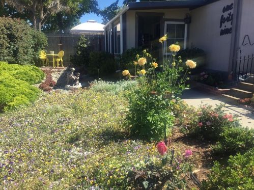 519 Taylor St, Santa Maria CA  93458-1000 exterior