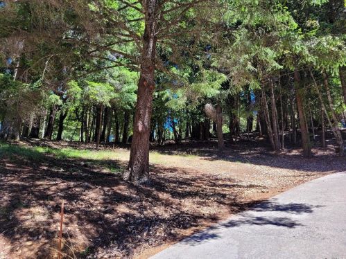 27421 Ridge Rd, Willits CA  95490-8985 exterior