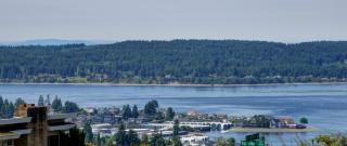 976 Jackson Ave, Tacoma, WA 98465-1412