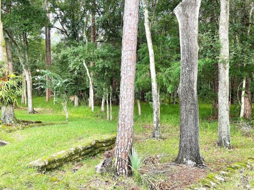 3516 Tealwood Cir, Palm Harbor FL  34685-3145 exterior