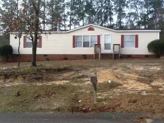 242 Deer Vw, Sanford NC  27332-1120 exterior