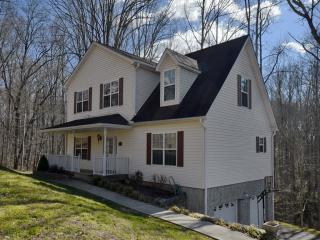 41 Stillwood Dr, Biltmore Lake, NC 28715-9519