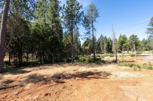 14101 Menlo Ct, Nimshew CA  95954-9450 exterior