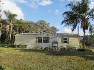 54634 Buckhorn Rd, Astor, FL 32102-3304