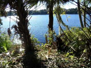 146 Acosta Creek Dr, Satsuma, FL 32189-3320