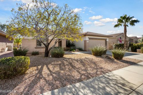 21211 Mariposa Grove Ln, Sun City, AZ 85387-2752