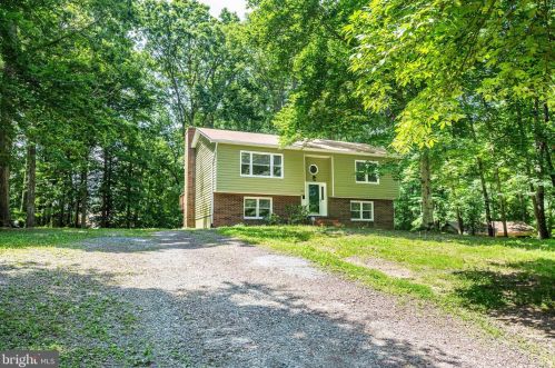 423 Albany St, Fredericksburg VA  22407-6387 exterior