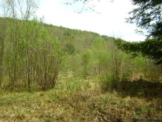 144 Cinnamon Ln, North Harpersfield, NY 12093-3300
