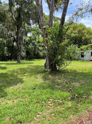 7749 Pier Rd, Port Richey, FL 34668-6441