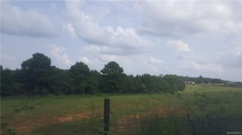 24 Tar Hill Rd, Level Plains, AL 36322-4524