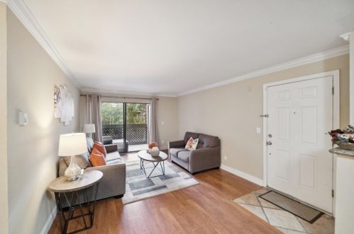 937 Catkin Ct, San Jose, CA 95128-4717
