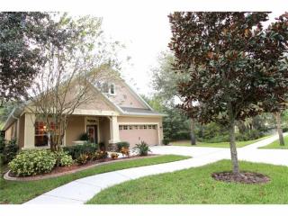 3509 Brook Crossing Dr, Brandon, FL 33511-8182