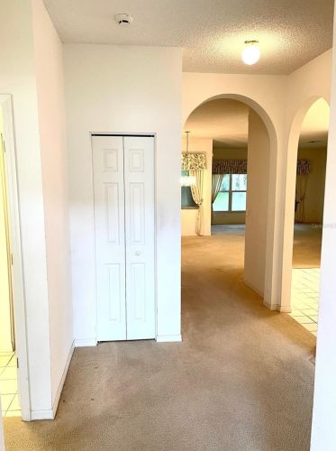 3516 Tealwood Cir, Palm Harbor FL  34685-3145 exterior