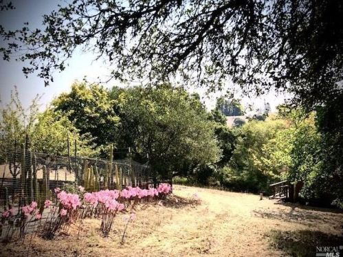 3431 Burnside Rd, Sebastopol CA  95472-9139 exterior