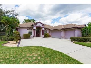 22247 Magnolia Trace Blvd, Lutz FL  33549-8799 exterior