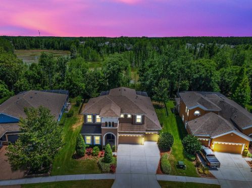 19408 Autumn Chase Ct, Land O Lakes, FL 34638-2653