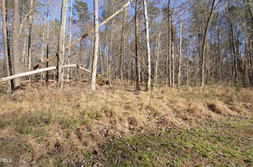 596 Stone St, Haw River NC  27258-8746 exterior