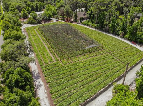 1240 Enterprise Osteen Rd, Deltona FL  32725-9401 exterior