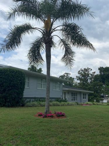 802 Pine Tree Ct, Deland FL  32724-2975 exterior