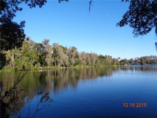 18822 4th St, Lutz, FL 33549-4337