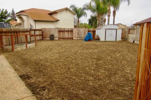 766 Amelia Ct, Los Banos CA 93635-2623 exterior