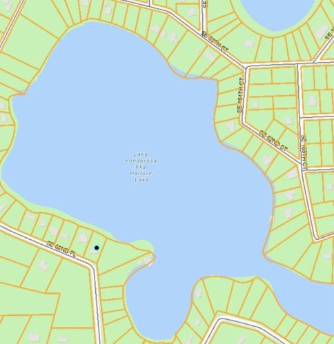 16295 62nd Pl, Ocklawaha, FL 32179-2981