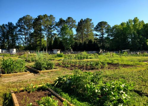 93 Rdg Lk Dr, Foreston SC 29102-4478 exterior