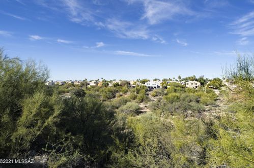 11321 Copper Spg Trl, Tucson AZ 85737-9454 exterior