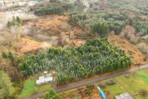 163 Topelt Rd, Napavine, WA 98532-9325