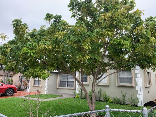 9253 3rd St, Boca Raton, FL 33428-4517