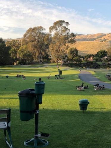 5149 Cribari Pl, San Jose CA 95135-1301 exterior