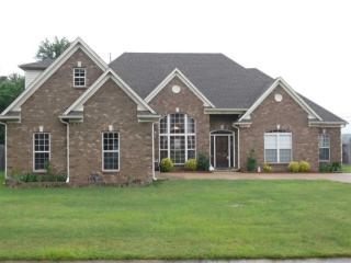 613 Farmer Trl, Crosstown, TN 38004-7877