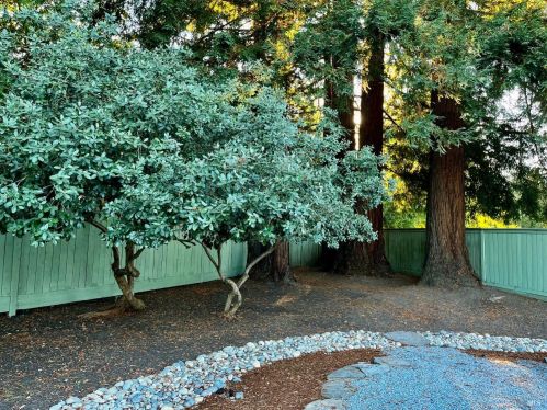 2612 Tamarisk Ct, Santa Rosa CA  95405-8413 exterior