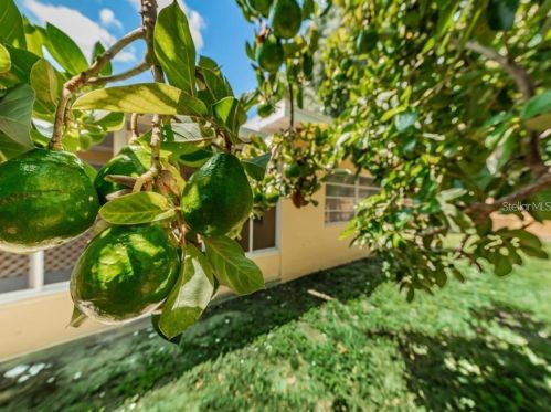 6651 Cradle Ct, New Port Richey FL  34653-3403 exterior