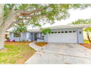 1223 Dinnerbell Ln, Dunedin, FL 34698-4813