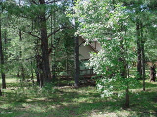 5064 Black Panther, Pinetop AZ  85935-8530 exterior