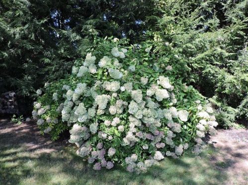 303 Hilton Dr, Wapping CT 06074-3418 exterior