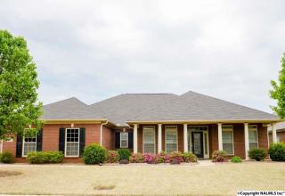 108 Mallard Cove Dr, Madison AL  35756-8289 exterior