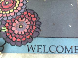 4808 Misty Slope Ln, Austin TX  78744-5704 exterior