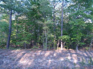 1307 Hidden Oak Dr, Foreston SC  29102 exterior