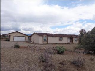 3775 Walker View Rd, Wellington, NV 89444-9325