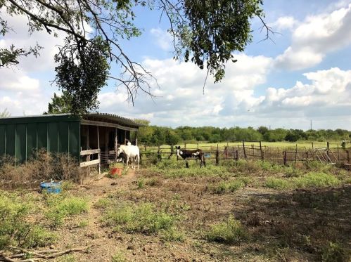 10448 Fm 812, Austin TX 78719-9735 exterior