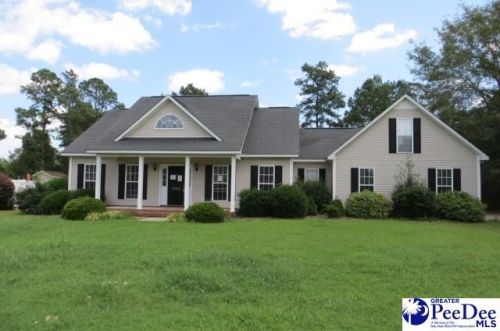 355 Pointer Dr, Hartsville SC  29550-8084 exterior