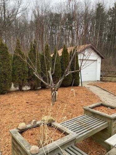 3914 Ellis St, Manitowoc WI  54220-3532 exterior