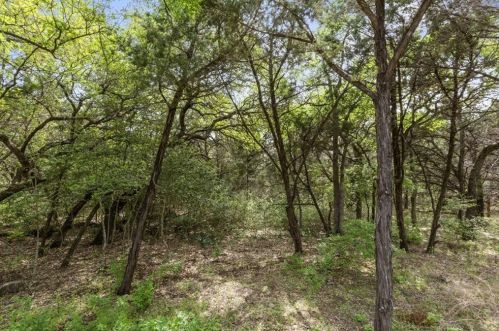 12432 Cardinal Flower Dr, Austin TX 78739 exterior