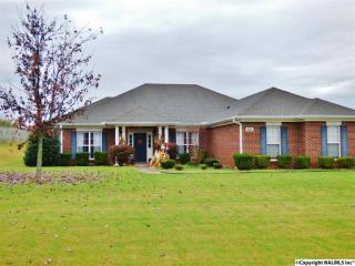 181 Newberry Ct, Madison AL  35757-8341 exterior