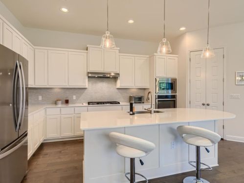 12509 Cardinal Flower Dr, Austin TX 78739 exterior