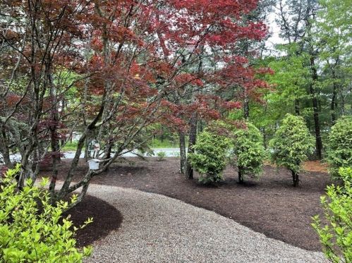 379 Red Brook Rd, Mashpee, MA 02649-3768