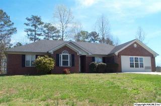 103 Buck Run, Toney AL  35773-6970 exterior