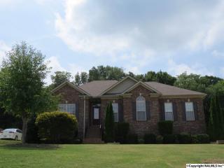 108 Burwell Cove Dr, Harvest, AL 35749-8694